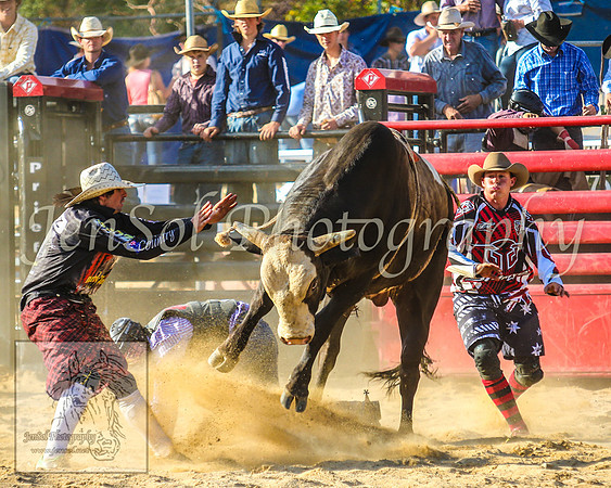 CoomaRodeo2014_1834