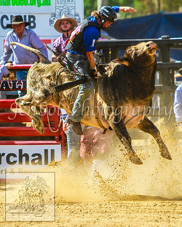CoomaRodeo2014_KJS_0585
