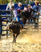 CoomaRodeo2014_1816