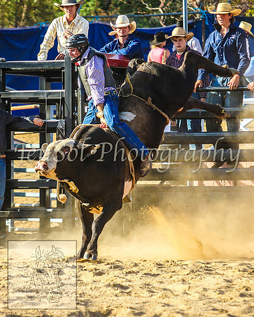 CoomaRodeo2014_1816