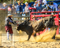 CoomaRodeo2014_1839