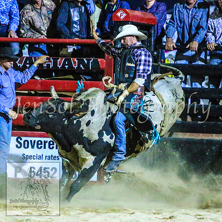 CoomaRodeo2014_2839