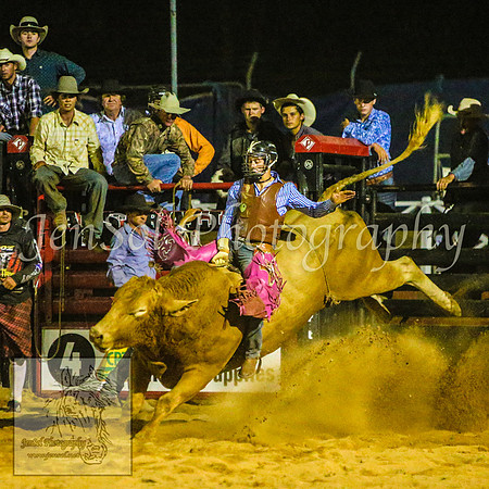 CoomaRodeo2014_2945