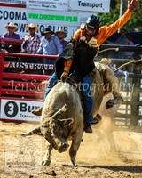 CoomaRodeo2014_1307