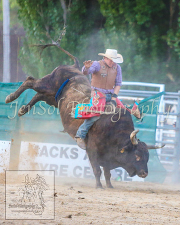 CoomaRodeo2014_2133