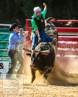 CoomaRodeo2014_1182