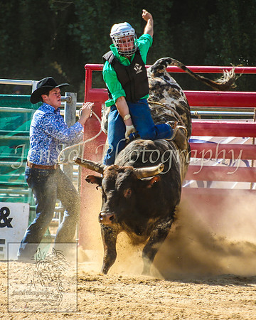 CoomaRodeo2014_1182