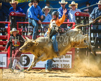 CoomaRodeo2014_1272