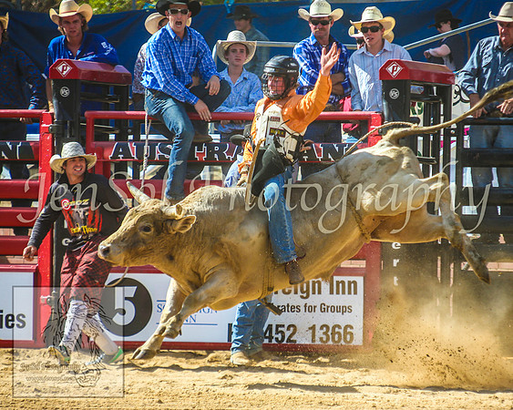 CoomaRodeo2014_1272