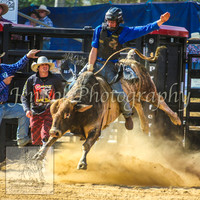 CoomaRodeo2014_1216