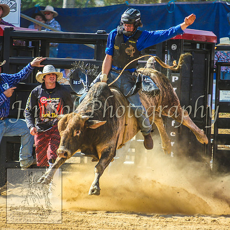 CoomaRodeo2014_1216