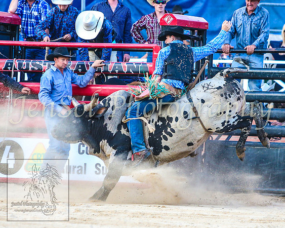 CoomaRodeo2014_2054
