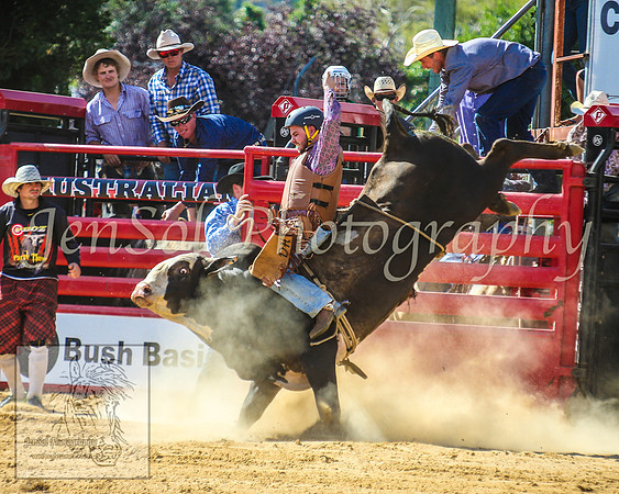 CoomaRodeo2014_1169