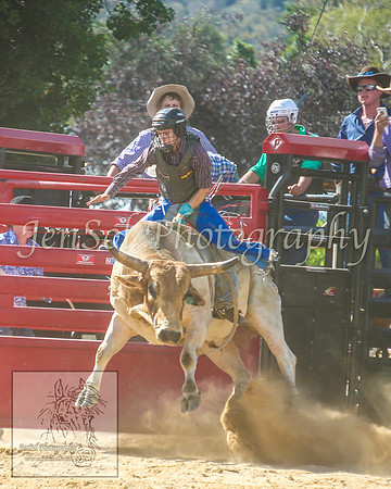 CoomaRodeo2014_1181
