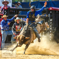 CoomaRodeo2014_1217