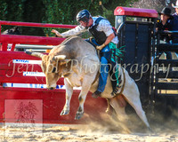 CoomaRodeo2014_1808