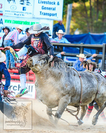 CoomaRodeo2014_2097