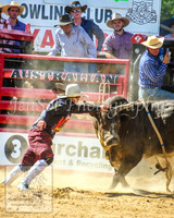 CoomaRodeo2014_1265