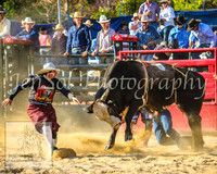 CoomaRodeo2014_1836