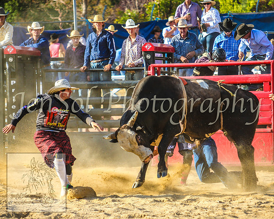 CoomaRodeo2014_1836