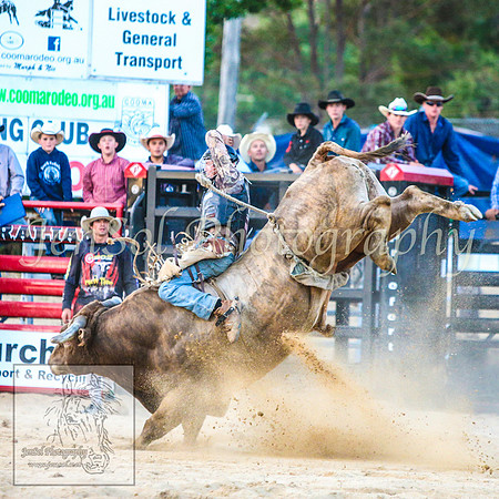 CoomaRodeo2014_2237