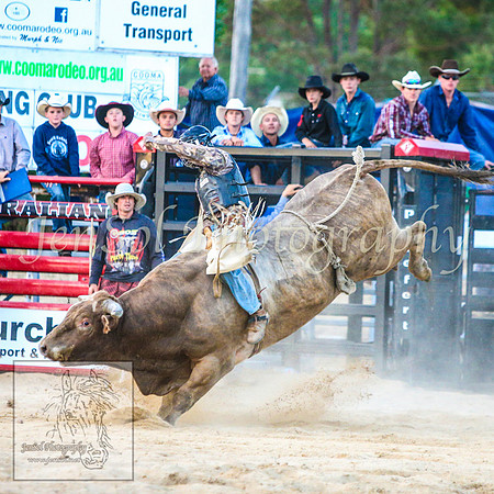 CoomaRodeo2014_2220