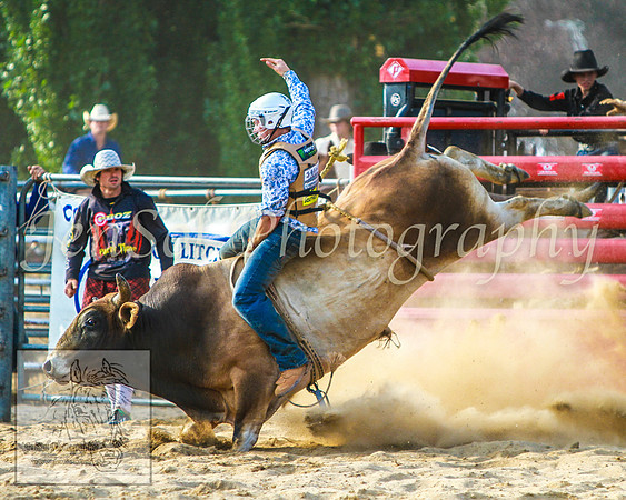 CoomaRodeo2014_KJS_0914