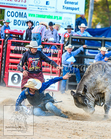 CoomaRodeo2014_2086