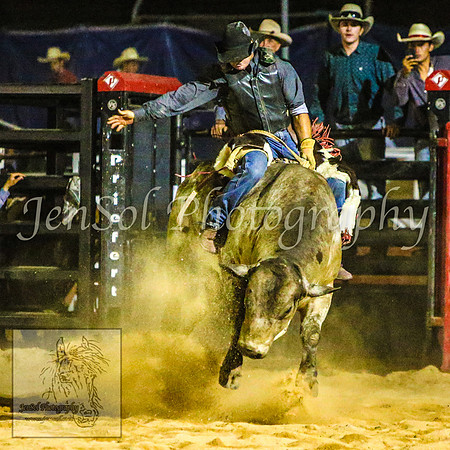 CoomaRodeo2014_2790