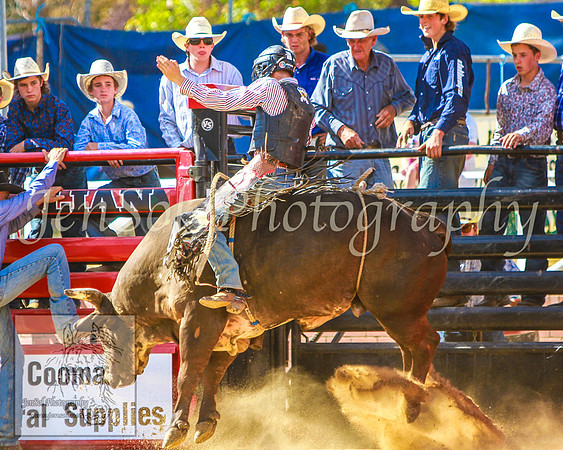 CoomaRodeo2014_KJS_0591