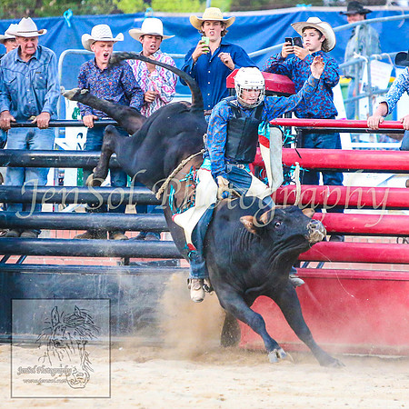 CoomaRodeo2014_2260