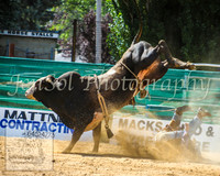 CoomaRodeo2014_1175