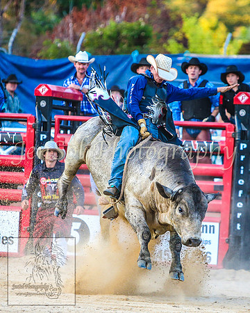 CoomaRodeo2014_2072