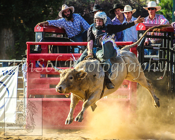 CoomaRodeo2014_1916
