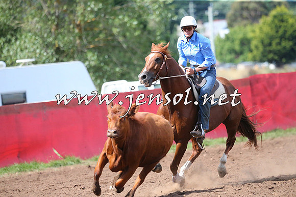 NimmitabelCampdraft2015_2398