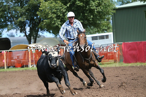 NimmitabelCampdraft2015_2350