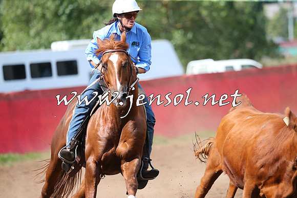 NimmitabelCampdraft2015_2403