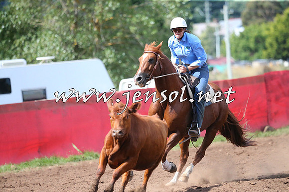 NimmitabelCampdraft2015_2396