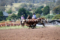 NimmitabelCampdraft2015_2315