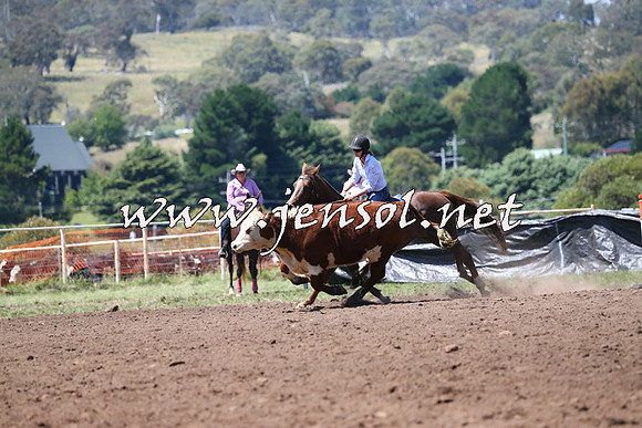 NimmitabelCampdraft2015_2315