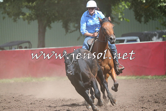 NimmitabelCampdraft2015_2382