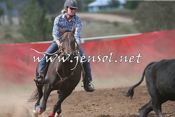 NimmitabelCampdraft2015_2460