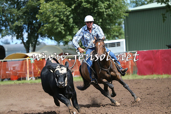 NimmitabelCampdraft2015_2349