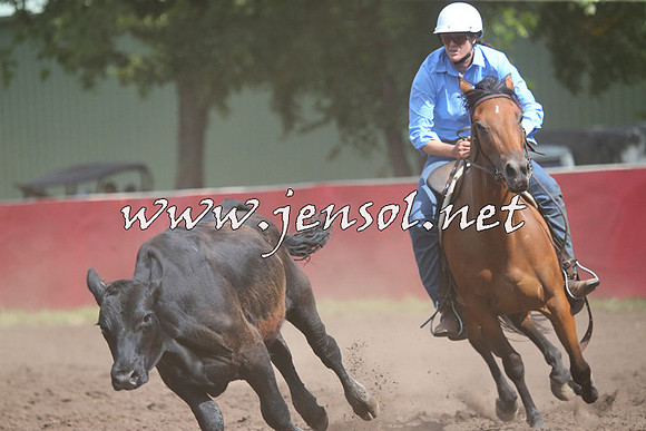NimmitabelCampdraft2015_2384
