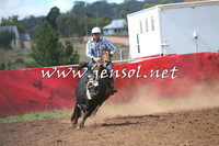 NimmitabelCampdraft2015_2341