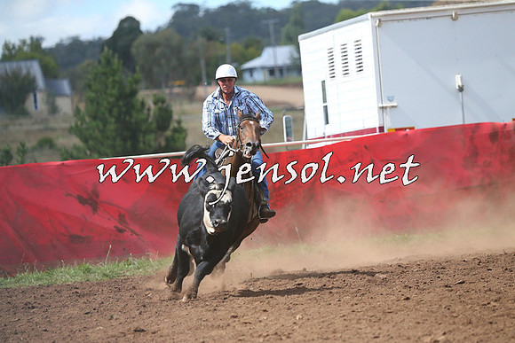 NimmitabelCampdraft2015_2341