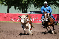 NimmitabelCampdraft2015_2325