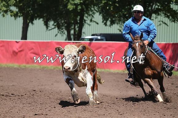 NimmitabelCampdraft2015_2325