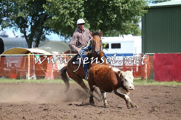 NimmitabelCampdraft2015_2447