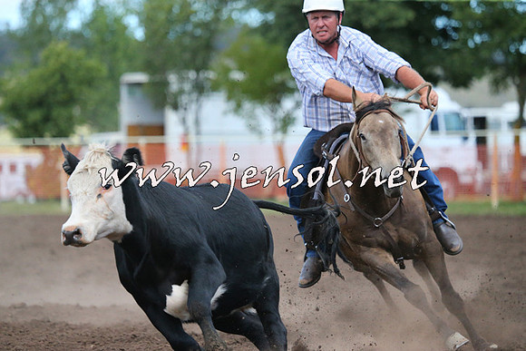 NimmitabelCampdraft2015_2469